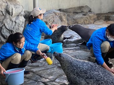 しながわ水族館に投稿された画像（2021/12/30）