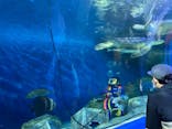 しながわ水族館に投稿された画像（2021/12/30）