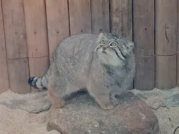 神戸どうぶつ王国に投稿された画像（2021/12/30）