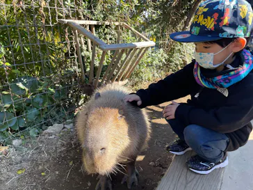 横浜・八景島シーパラダイスに投稿された画像（2021/12/30）