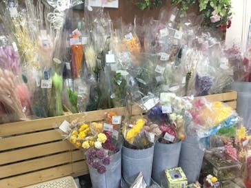 ずこうしつ〜sugamo〜に投稿された画像（2021/12/30）