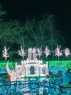 さがみ湖MORI MORIに投稿された画像（2021/12/30）