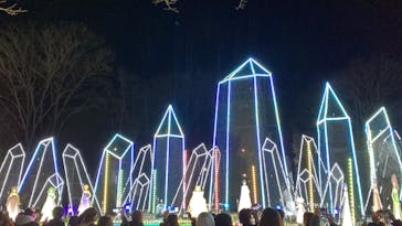 さがみ湖MORI MORIに投稿された画像（2021/12/30）