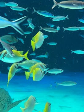 サンシャイン水族館に投稿された画像（2021/12/30）