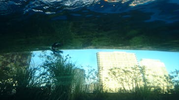 サンシャイン水族館に投稿された画像（2021/12/30）