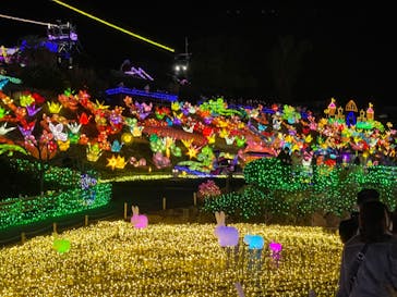 伊豆ぐらんぱる公園に投稿された画像（2021/12/30）