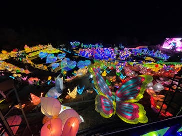 伊豆ぐらんぱる公園に投稿された画像（2021/12/30）