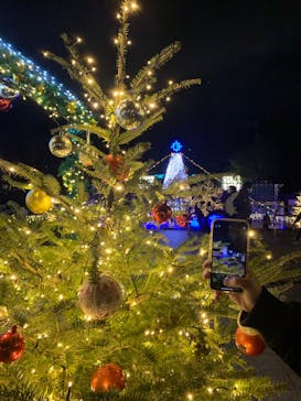 安城産業文化公園デンパークに投稿された画像（2021/12/30）