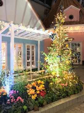 安城産業文化公園デンパークに投稿された画像（2021/12/30）