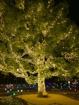 安城産業文化公園デンパークに投稿された画像（2021/12/30）