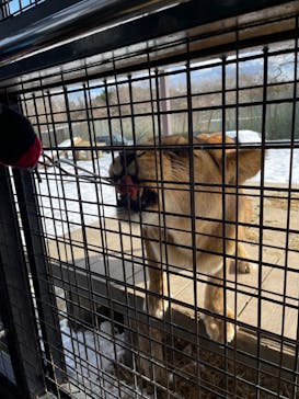 那須サファリパークに投稿された画像（2021/12/30）