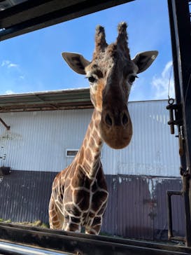 那須サファリパークに投稿された画像（2021/12/30）