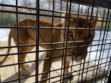 那須サファリパークに投稿された画像（2021/12/30）