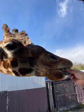 那須サファリパークに投稿された画像（2021/12/30）