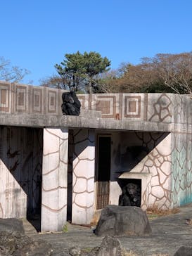 伊豆シャボテン動物公園に投稿された画像（2021/12/30）