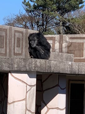 伊豆シャボテン動物公園に投稿された画像（2021/12/30）