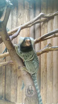 神戸どうぶつ王国に投稿された画像（2021/12/30）