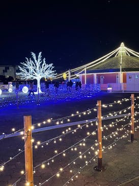 東京メガイルミに投稿された画像（2021/12/30）