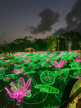美らヤシパークオキナワ・東南植物楽園に投稿された画像（2021/12/30）