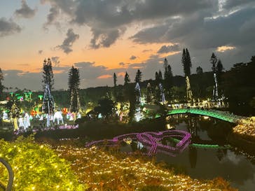 美らヤシパークオキナワ・東南植物楽園に投稿された画像（2021/12/30）