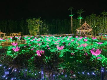 美らヤシパークオキナワ・東南植物楽園に投稿された画像（2021/12/30）