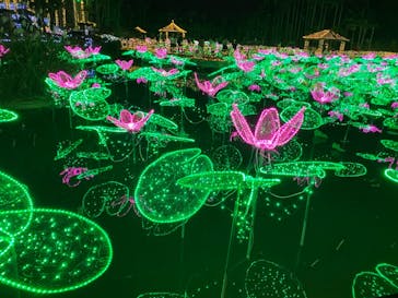美らヤシパークオキナワ・東南植物楽園に投稿された画像（2021/12/30）