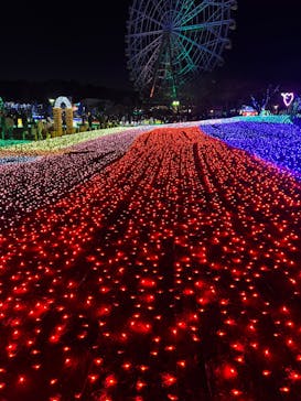 東武動物公園に投稿された画像（2021/12/30）
