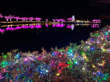 東武動物公園に投稿された画像（2021/12/30）