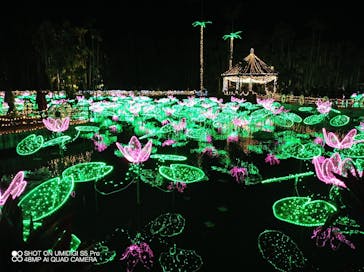 美らヤシパークオキナワ・東南植物楽園に投稿された画像（2021/12/30）