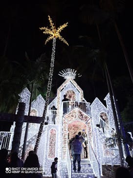 美らヤシパークオキナワ・東南植物楽園に投稿された画像（2021/12/30）