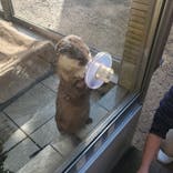 下田海中水族館に投稿された画像（2021/12/31）