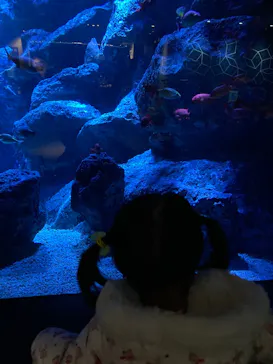 すみだ水族館に投稿された画像（2021/12/30）