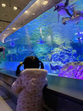 すみだ水族館に投稿された画像（2021/12/30）