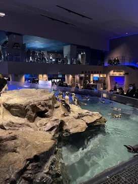 すみだ水族館に投稿された画像（2021/12/30）