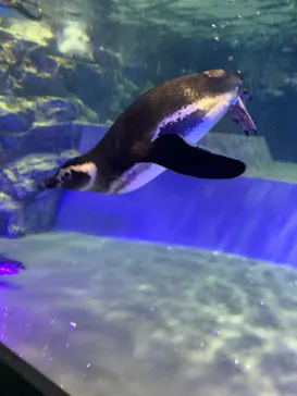 すみだ水族館に投稿された画像（2021/12/30）