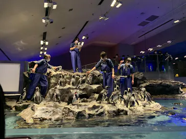 すみだ水族館に投稿された画像（2021/12/30）