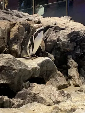 すみだ水族館に投稿された画像（2021/12/30）