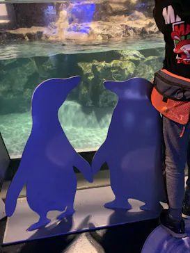 すみだ水族館に投稿された画像（2021/12/30）