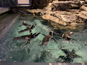 すみだ水族館に投稿された画像（2021/12/30）