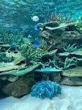 名古屋港水族館に投稿された画像（2021/12/31）