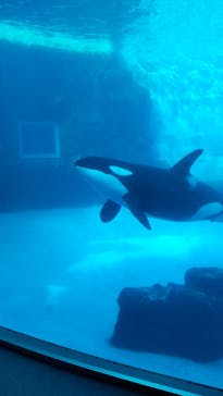 名古屋港水族館に投稿された画像（2021/12/30）