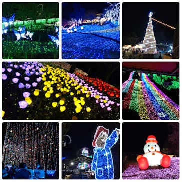 さがみ湖MORI MORIに投稿された画像（2021/12/30）