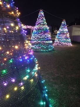 クリスマスファンタジー実行委員会に投稿された画像（2021/12/30）