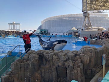 名古屋港水族館に投稿された画像（2021/12/31）