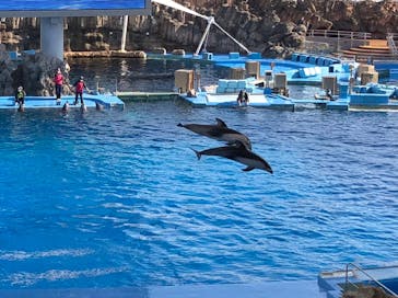 名古屋港水族館に投稿された画像（2021/12/31）