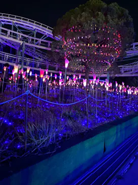 ひらかたパークに投稿された画像（2021/12/31）