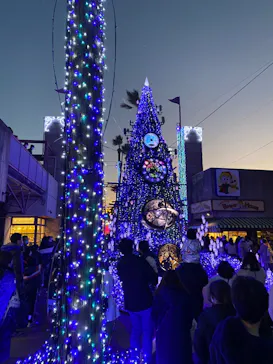 ひらかたパークに投稿された画像（2021/12/31）