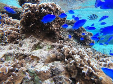 武藤潜水に投稿された画像（2021/12/31）