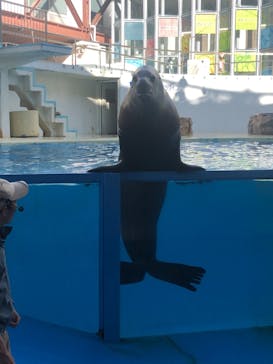 伊豆・三津シーパラダイスに投稿された画像（2021/12/31）