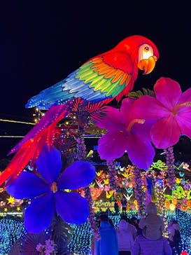 伊豆ぐらんぱる公園に投稿された画像（2021/12/31）